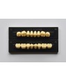1 x 8 Kaitong Teeth - Upper Posterior - Mould 34, Shade D2