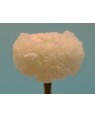 Cotton Handpiece Mops - Pk 10