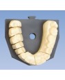 ZEISER Regular Plates - Grey (Pk 100)