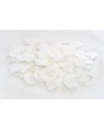 ZEISER Large Plates - White (Pk 100)