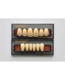 1 x 6 Ivostar - Upper Anterior - Mould 31, Shade A3