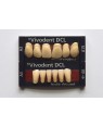 1 X 6 SR Vivodent DCL - Upper Anteriors - Mould A42, Shade C2