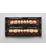 1 x 8 SR Orthotyp DCL - Upper Posterior - Mould N3, Shade D2