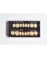 1 x 8 SR Postaris DCL - Lower Posterior - Mould PL4, Shade B3