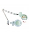 Mestra 3X magnifying LED bench light