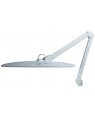 Task LED Desk Lamp / Light - White
