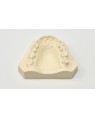 Sarros 2.0 CAD Cream Die Stone - 25kg
