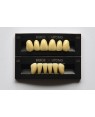1 x 6 Kaitong Teeth - Lower Anterior - Mould L10, Shade D4