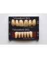 1 X 6 SR Vivodent DCL - Lower Anteriors - Mould A7, Shade A1