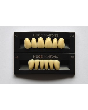 1 x 6 Kaitong Teeth - Upper Anterior - Mould O1, Shade D4
