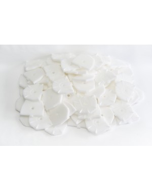 ZEISER Regular Plates - White (Pk 100)