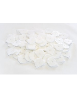 ZEISER Large Plates - White (Pk 100)