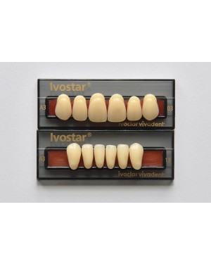 1 x 6 Ivostar Teeth - Upper Anterior - Mould 44, Shade D4