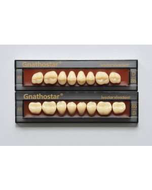 1 x 8 Gnathostar - Upper Posterior - Mould D84, Shade A3.5