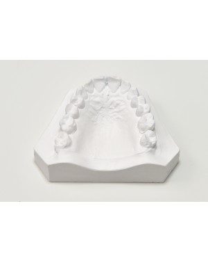 Sarros 2.0 Ortho Stone Snow White Die Stone - 12.5kg